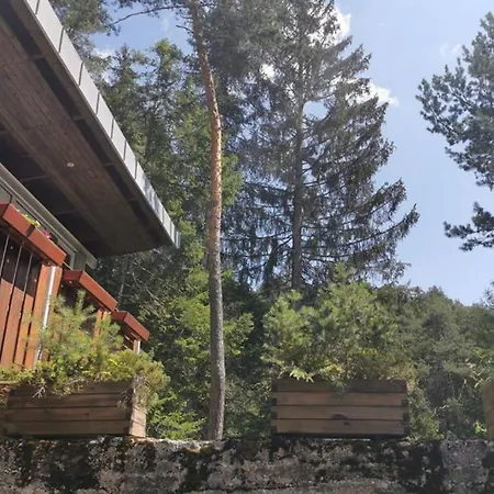 Chalet Nel Bosco Borca di Cadore Exterior photo