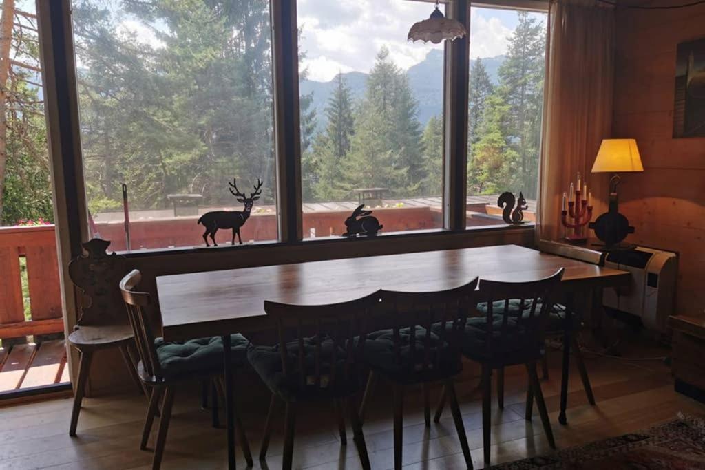 Nel Bosco Borca di Cadore