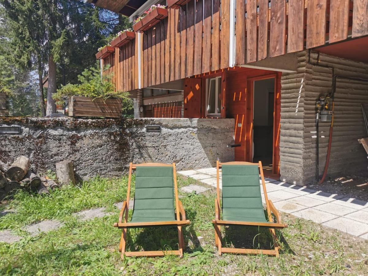 Chalet Nel Bosco Borca di Cadore