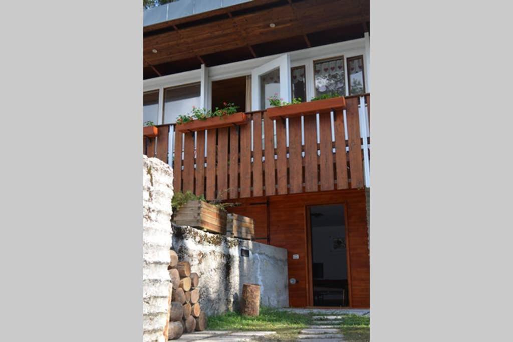 Chalet Nel Bosco Borca di Cadore