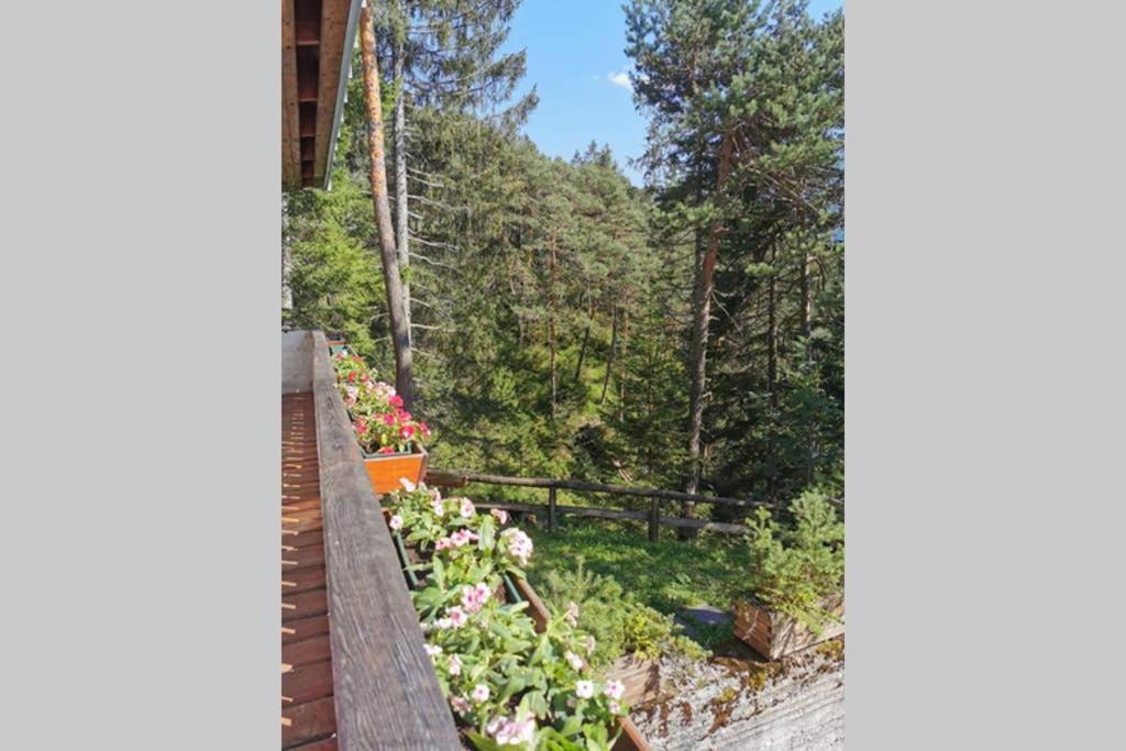 Nel Bosco Chalet *