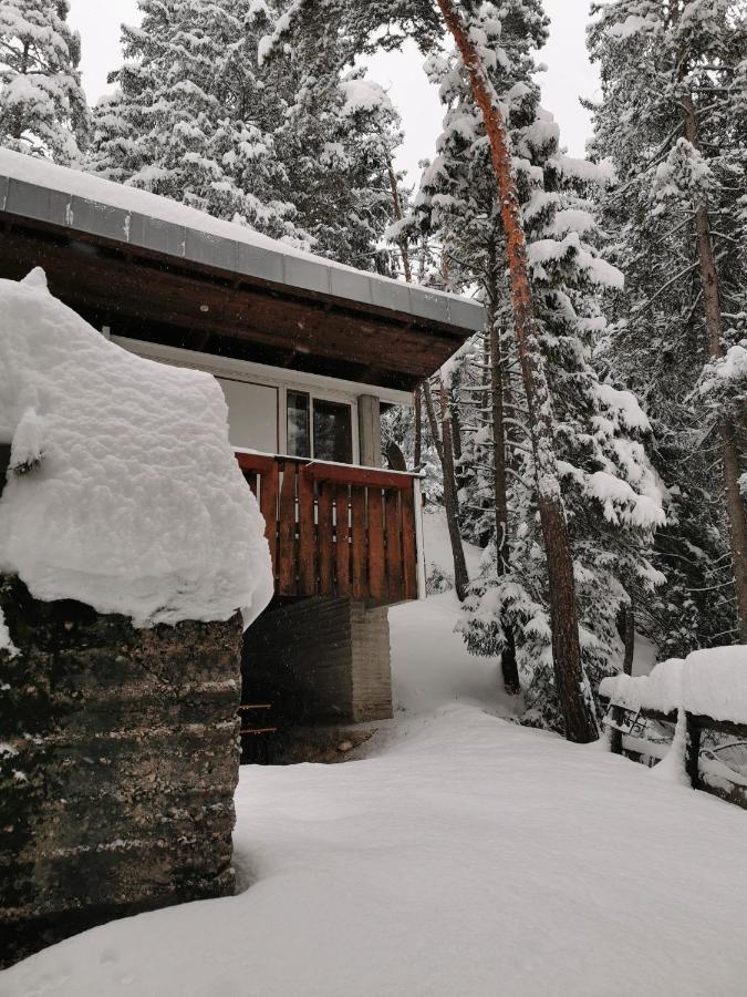 Nel Bosco Chalet Borca di Cadore
